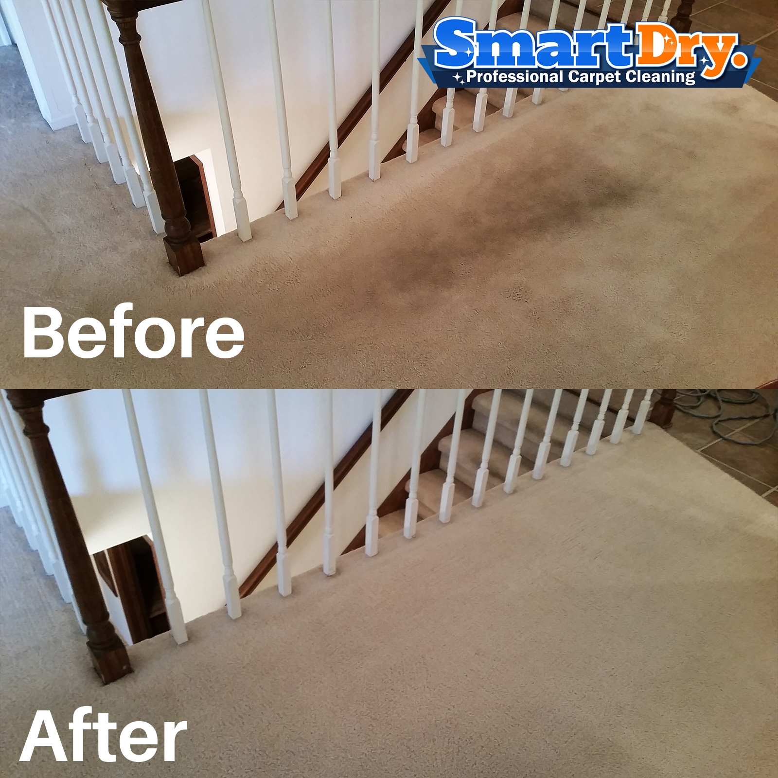 Carpet Cleaning Company San Diego Best Carpet Cleaners Smart Dry Restoration San Diego