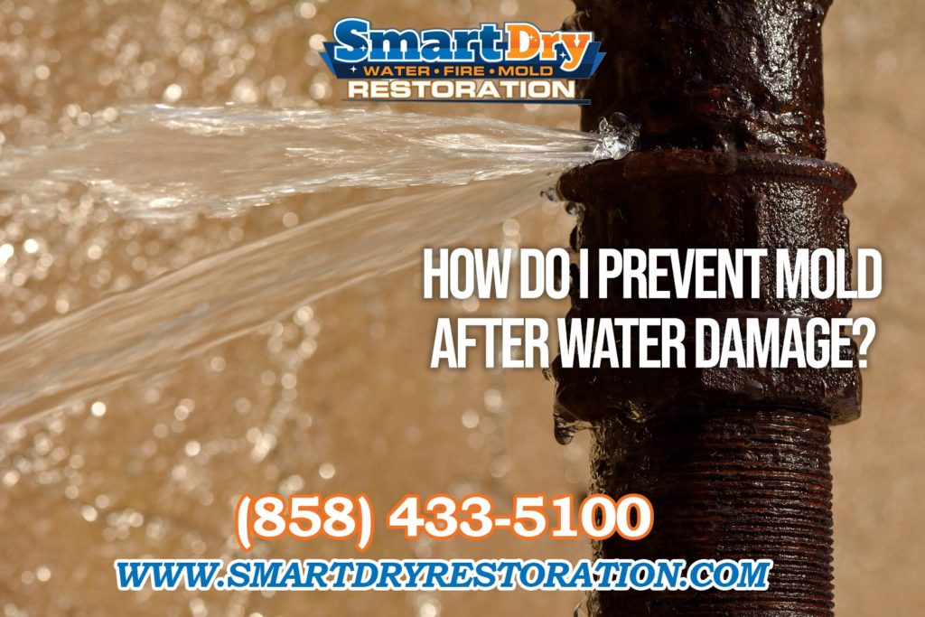 How to Prevent Mold after Water Damage in San Diego California