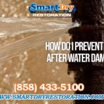 How to Prevent Mold after Water Damage in San Diego California