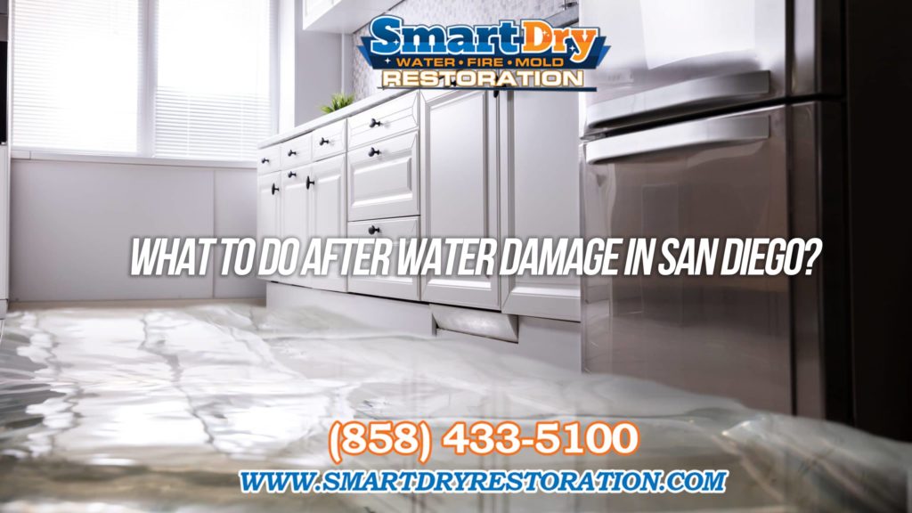 What to do After your House is Damaged by Water in San Diego California