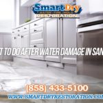 What to do After your House is Damaged by Water in San Diego California