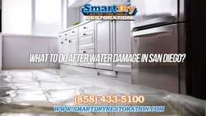 What to do After your House is Damaged by Water in San Diego California