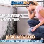 Tips on Performing a Mold Inspection in San Diego California