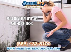 Tips on Performing a Mold Inspection in San Diego California