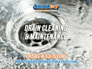 Maintenance Tips for your Drains in San Diego California