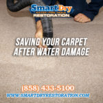 How Can I Save My Carpet After Water Damage in San Diego California