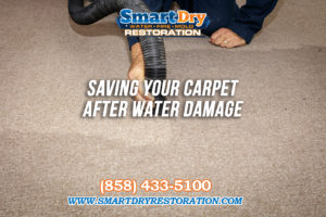 How Can I Save My Carpet After Water Damage in San Diego California