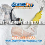 Causes of Basement Mold in San Diego