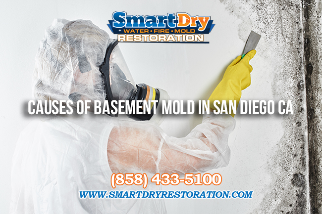 Causes of Basement Mold in San Diego