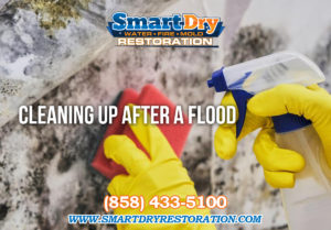 Flood Cleanup in San Diego