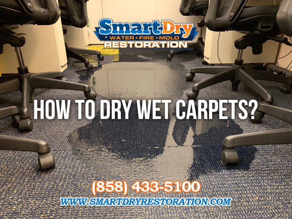 How to Dry Wet Carpets in San Diego