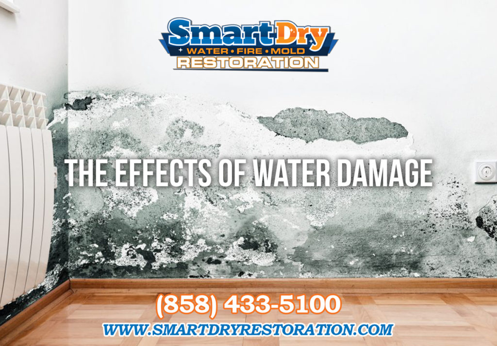 The Effects of Water Damage in San Diego