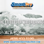 The Effects of Water Damage in San Diego