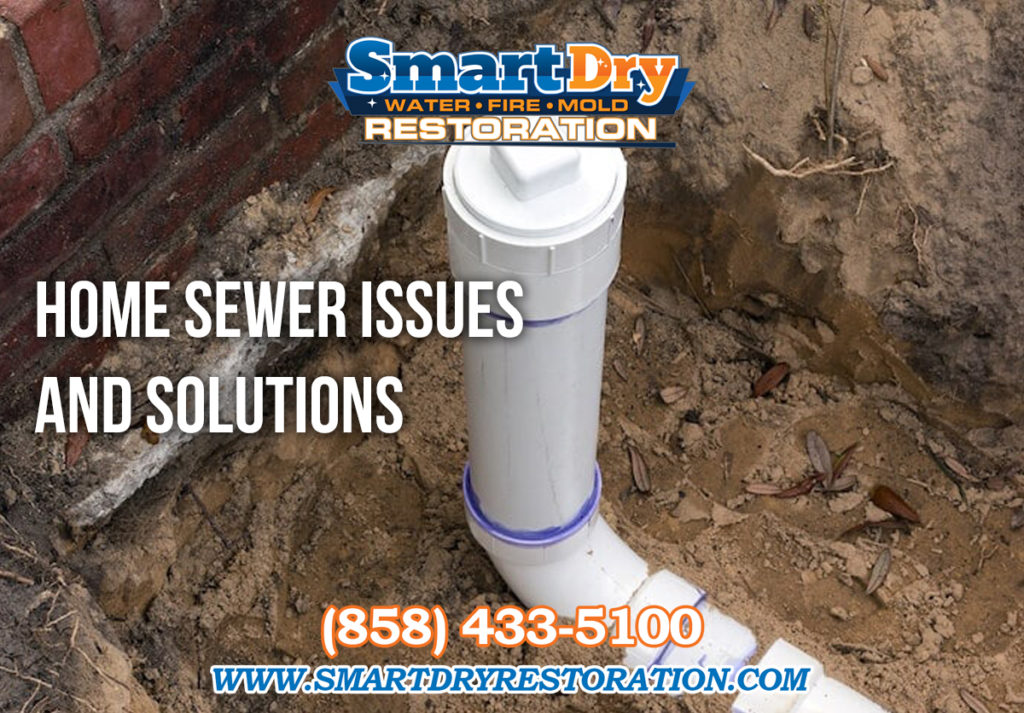 Home Sewer Issues and Solutions San Diego