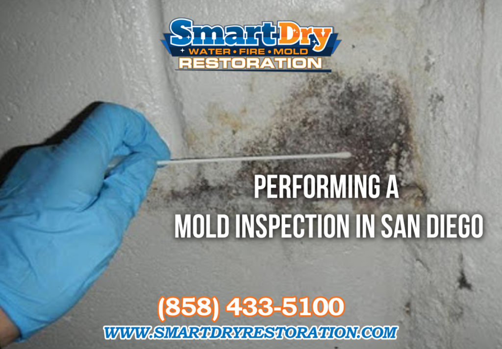 San Diego Mold Inspection