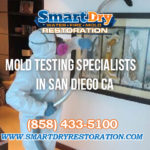 Mold Testing Experts in San Diego California