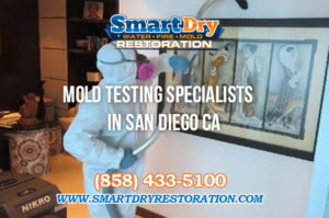 Mold Testing Experts in San Diego California