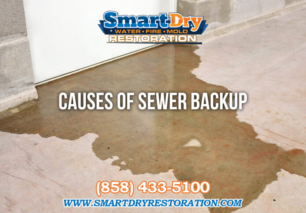 Signs of Sewer Backup in San Diego