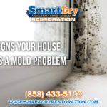 Signs Your Home Has a Mold Problem San Diego