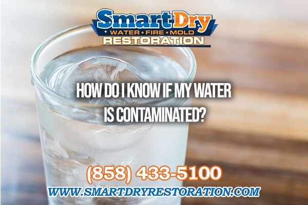 How Do I Know If My Water Is Contaminated in San Diego