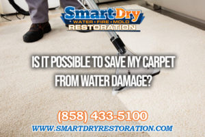 Is It Possible To Save My Carpet in San Diego