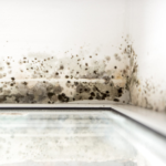 Mold Removal and Remediation Cost San Diego, CA