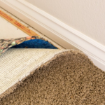 Should I Worry About Mold Under the Carpet In San Diego