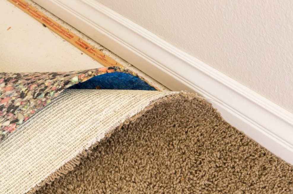 Should I Worry About Mold Under the Carpet In San Diego