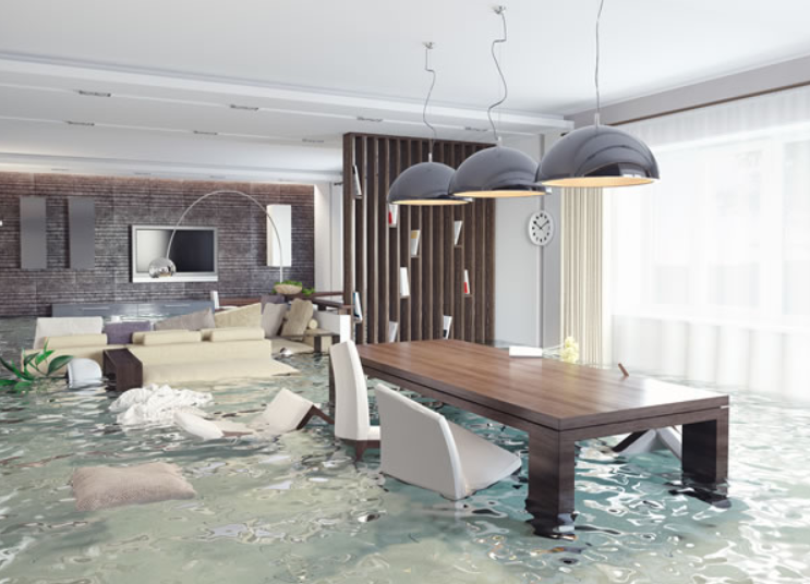 Water Damage Restoration and Water Damage Remediation Service San Diego