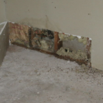 Finding Hidden Mold in Your Home In San Diego