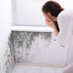 How Homeowners Insurance Covers Mold Remediation Services San Diego