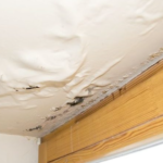 Causes And Signs Of Roof Leak In San Diego