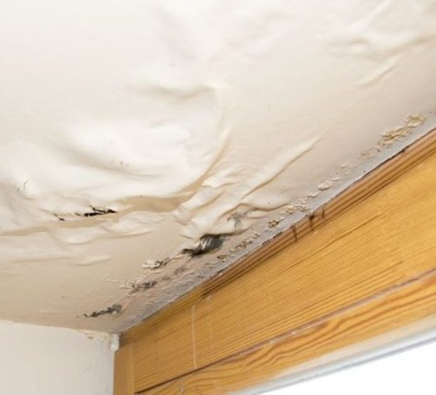 Causes And Signs Of Roof Leak In San Diego 