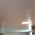 Why You Should Inspect Your Ceiling Tile In San Diego