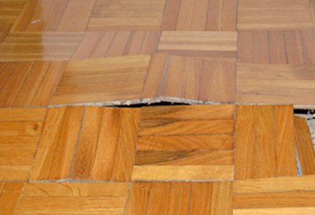 How To Minimize Water Damage On Wood Floors In San Diego
