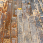 How To Prevent Water Damage On Hardwood Floors In San Diego