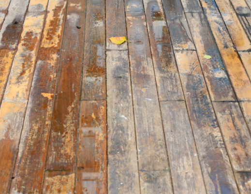 How To Prevent Water Damage On Hardwood Floors In San Diego
