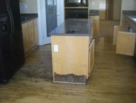 Kitchen Water And Mold Damage In San Diego