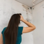 The Most Common Signs Of Mold Growth In San Diego