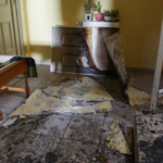 7 Things You Should Do After A Fire To Restore Your Home In San Diego