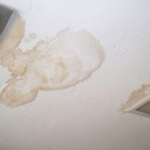 Signs Of Water Damage Inside Your Home In San Diego