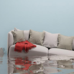 Can You Salvage A Flooded House In San Diego?