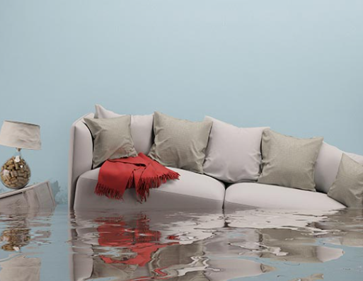 Can You Salvage A Flooded House In San Diego?