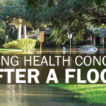 Health Concerns After A Flood In San Diego