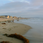 Pacific Beach Water Damage Restorage