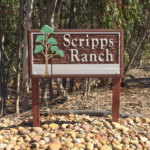Scripps Ranch Water Damage Restorage
