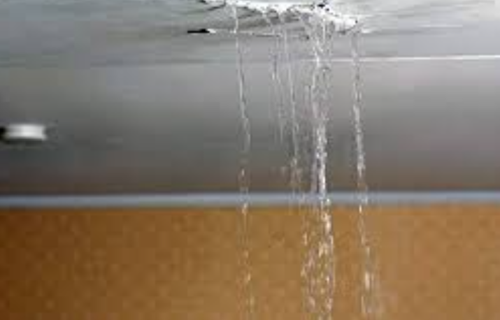 How To Spot Roof Water Damage In San Diego