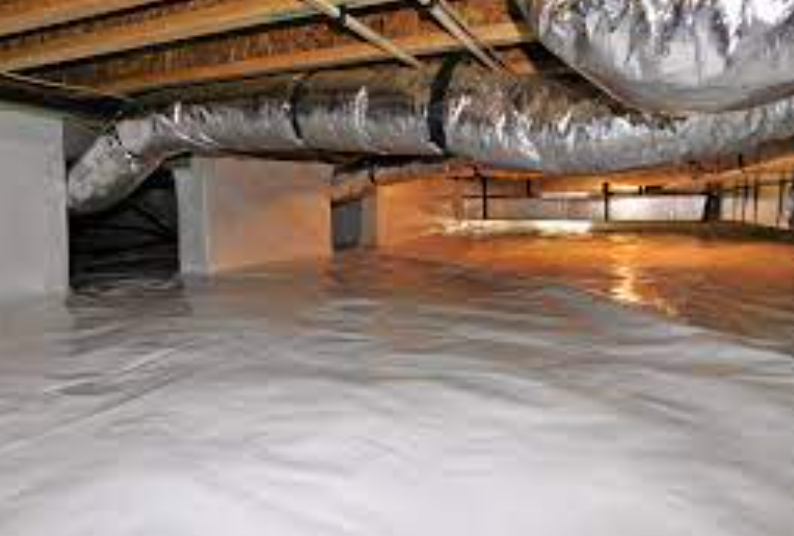 Tips For Crawl Space Waterproofing In San Diego