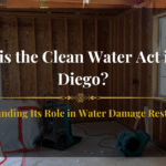 Clean water flowing through a restored riverbed after water damage restoration in San Diego