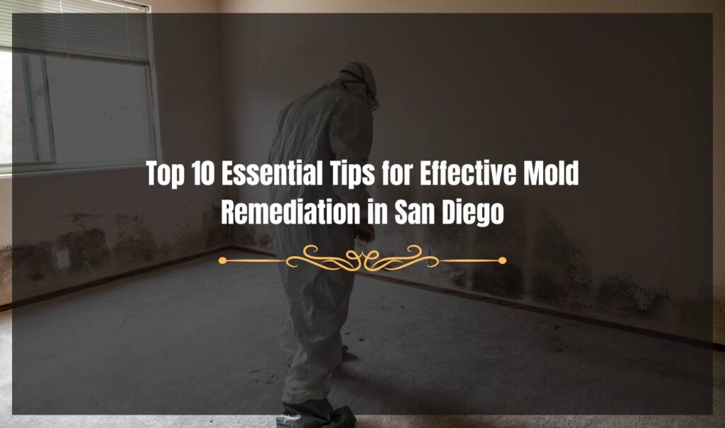 Mold Remediation San Diego: Home affected by mold growth in San Diego, illustrating the need for remediation.